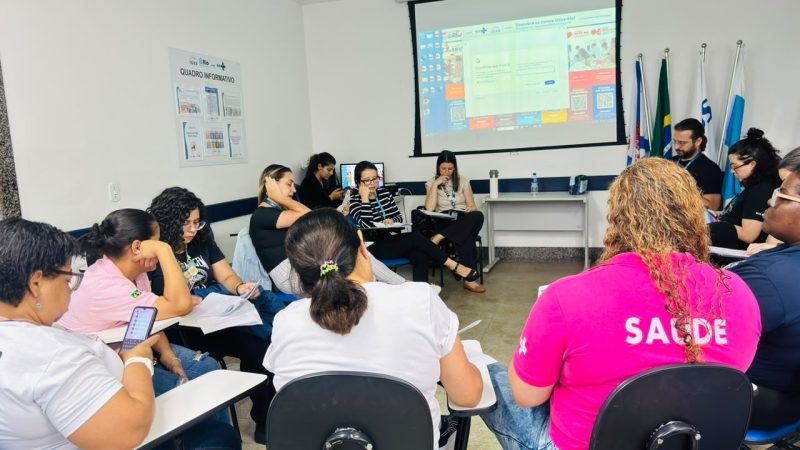 GT de Óbitos Maternos, Fetais e Infantis